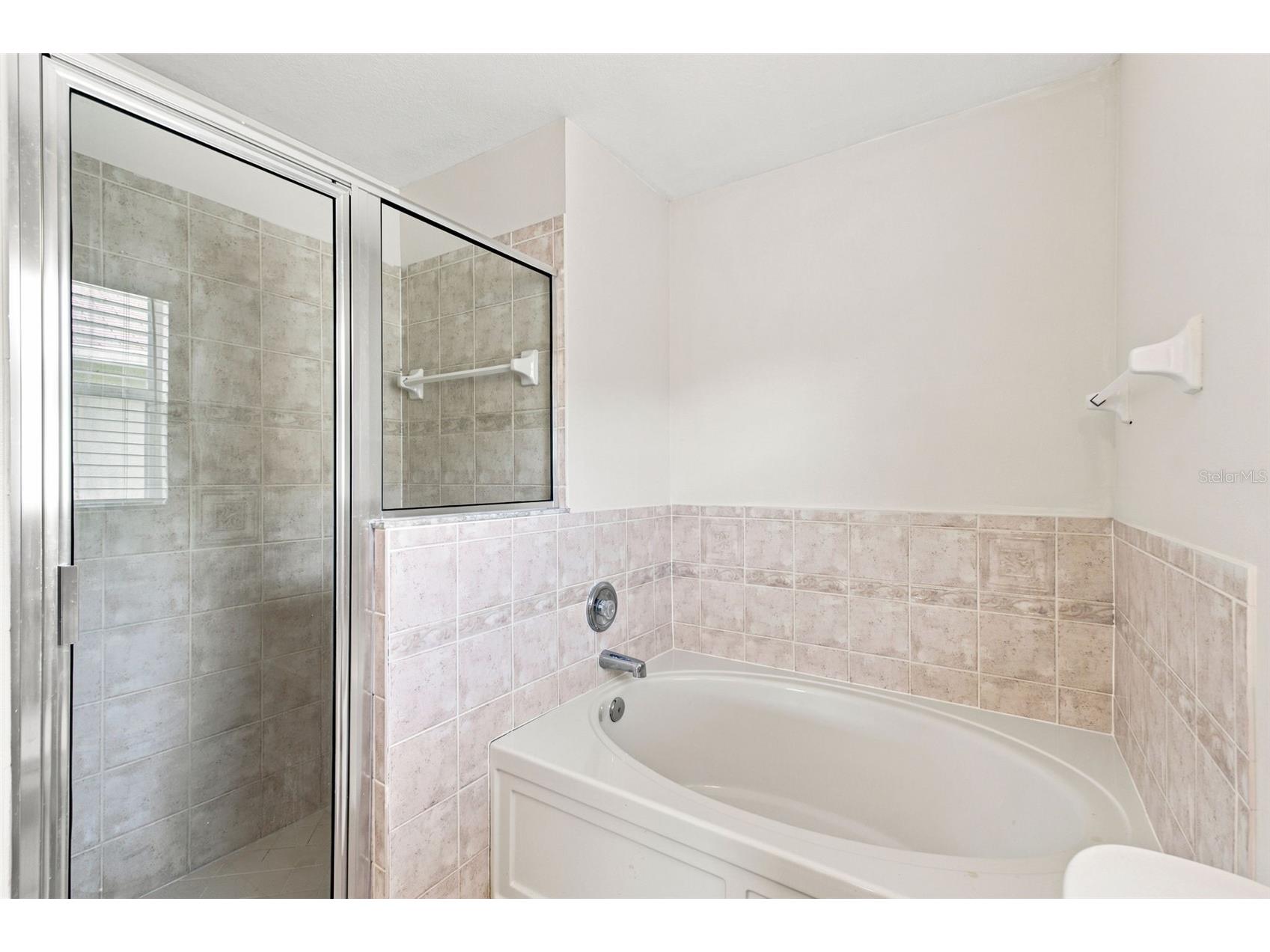31522 Triborough Drive Wesley Chapel FL 33545 TB8531179 image22