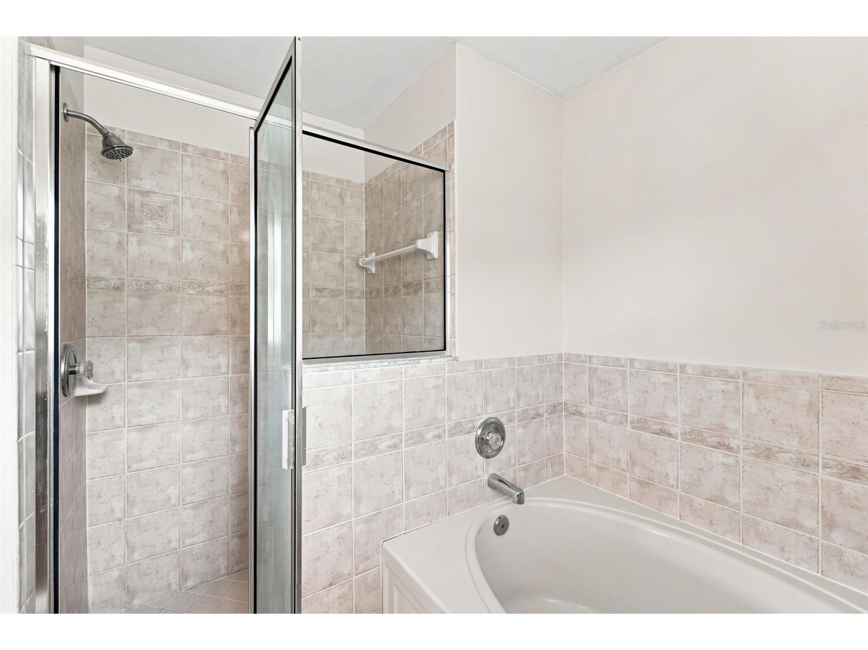 31522 Triborough Drive Wesley Chapel FL 33545 TB8531179 image23