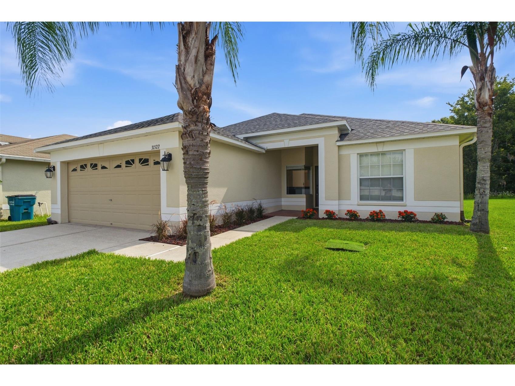 31522 Triborough Drive Wesley Chapel FL 33545 TB8531179 image32