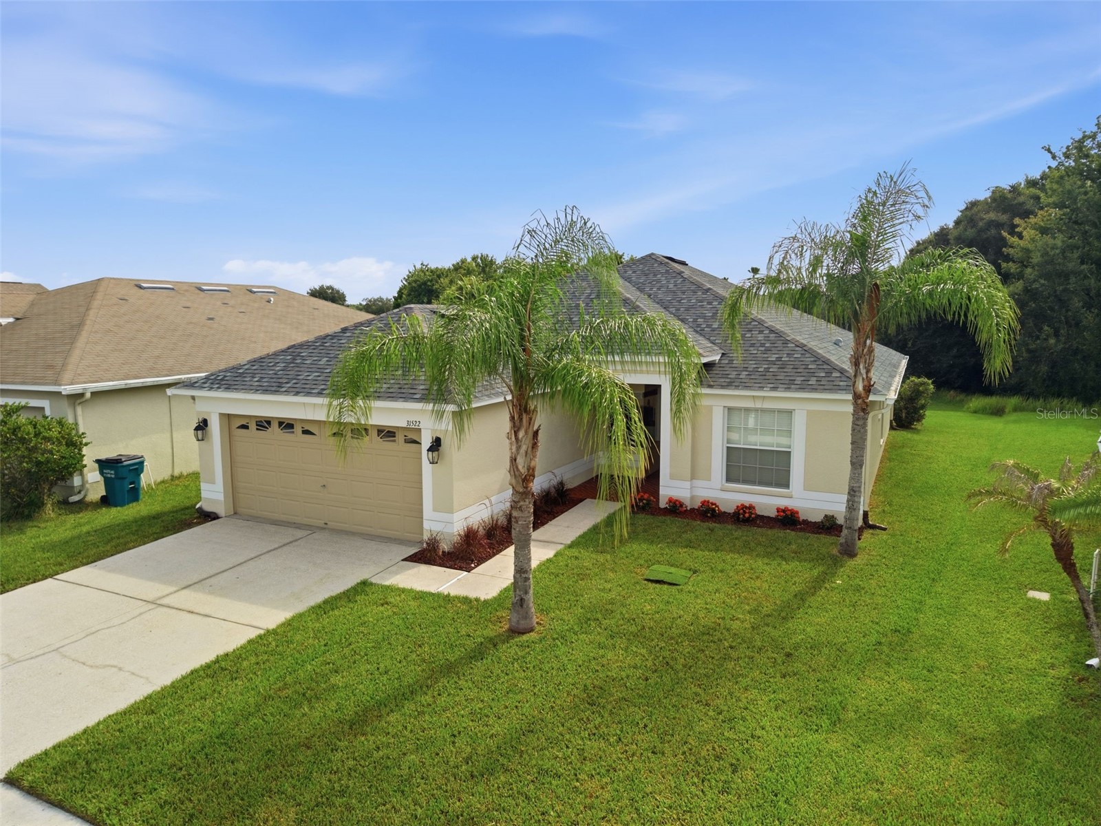 31522 Triborough Drive Wesley Chapel FL 33545 TB8531179 image33