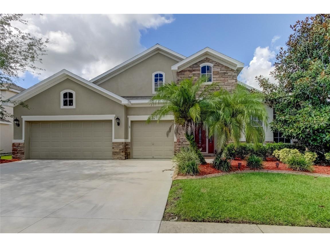 31524 Bearded Oak Drive Wesley Chapel FL 33543 T3542208 image1
