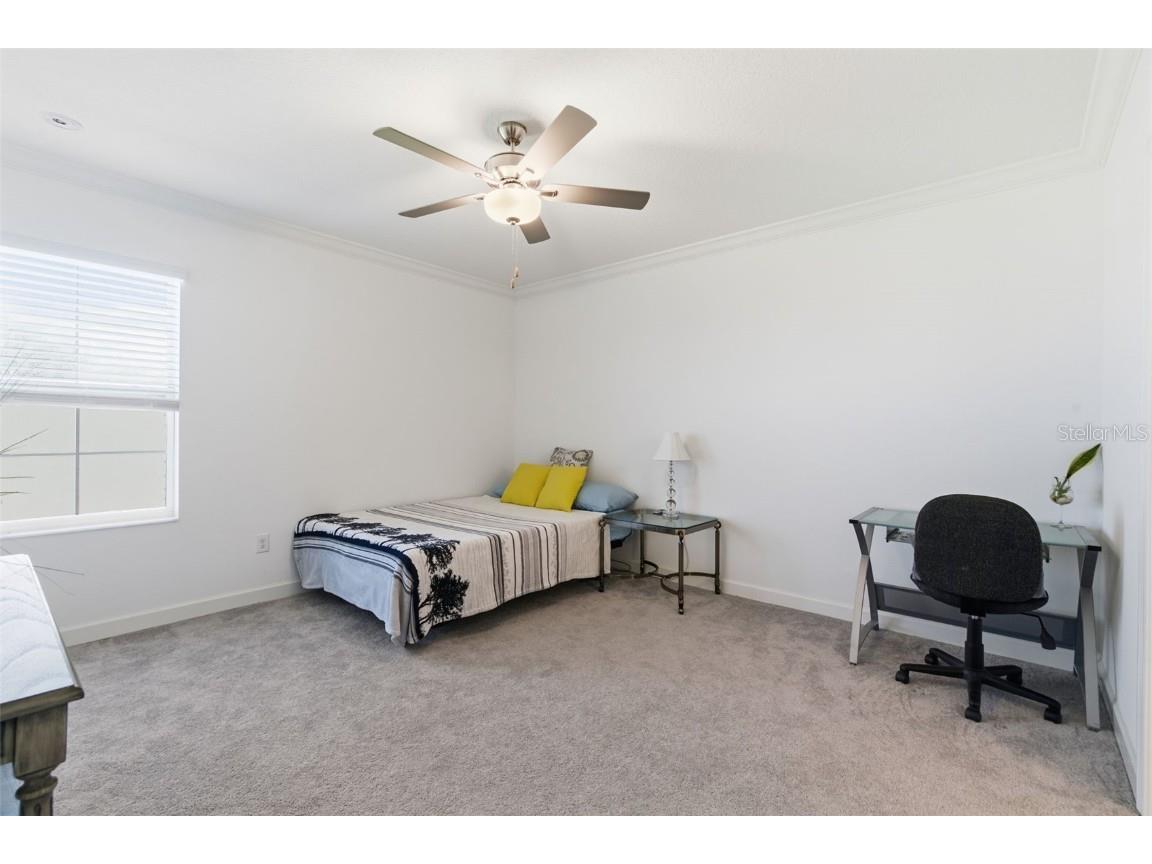 31524 Magna Gulf Loop San Antonio FL 33576 TB8439371 image20