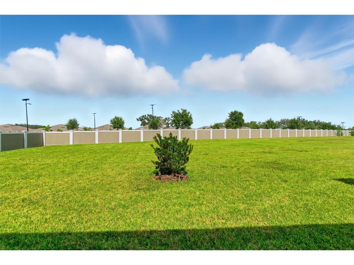 31524 Magna Gulf Loop San Antonio FL 33576 TB8439371 image31