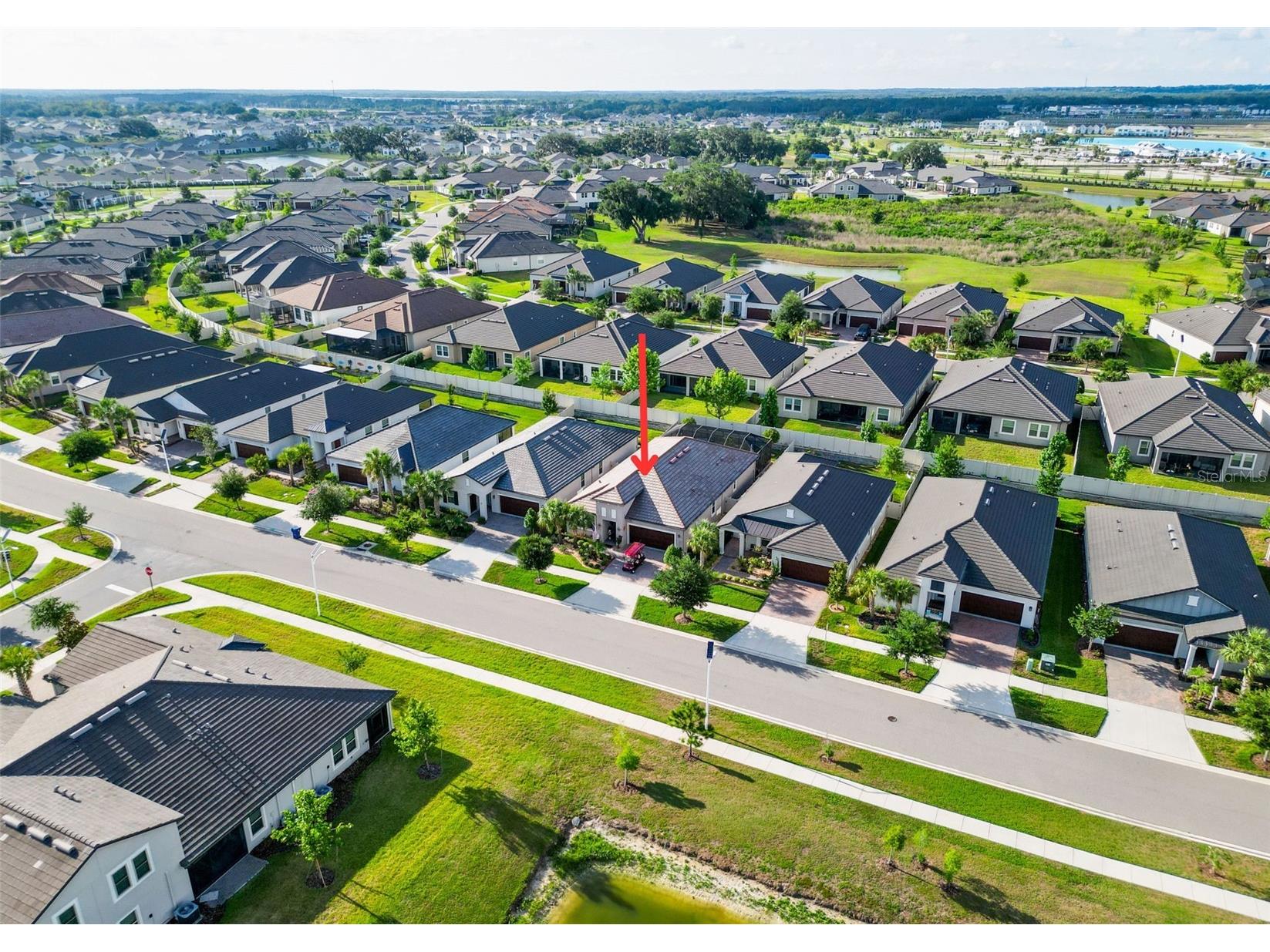 31527 Cannon Rush Drive San Antonio FL 33576 TB8506873 image11
