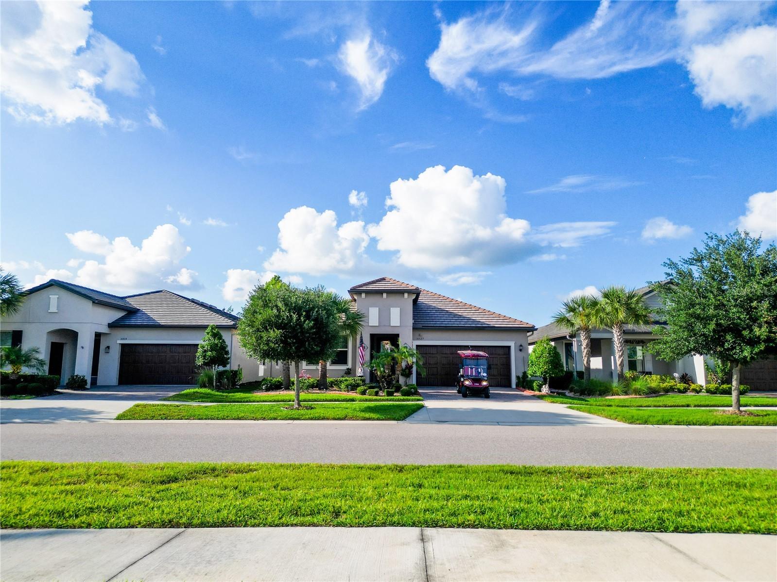 31527 Cannon Rush Drive San Antonio FL 33576 TB8506873 image2
