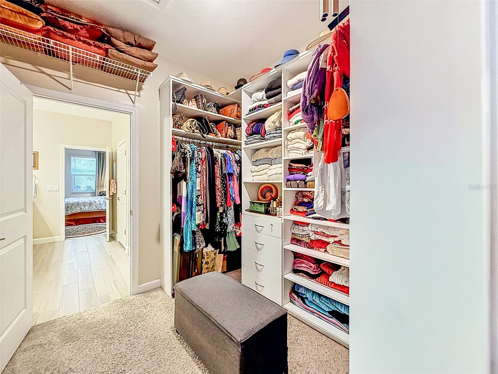 31527 Cannon Rush Drive San Antonio FL 33576 TB8506873 image36
