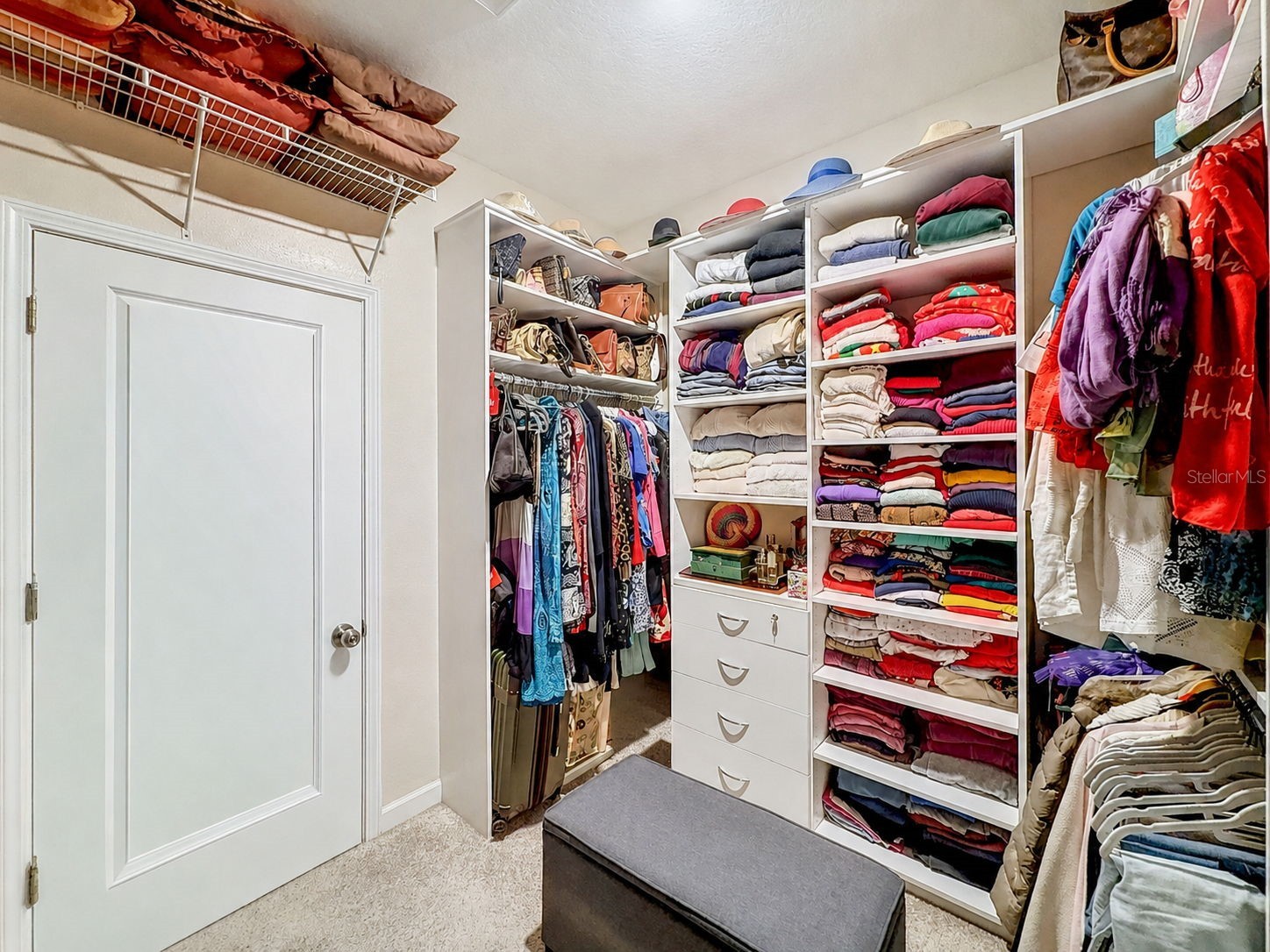 31527 Cannon Rush Drive San Antonio FL 33576 TB8506873 image37