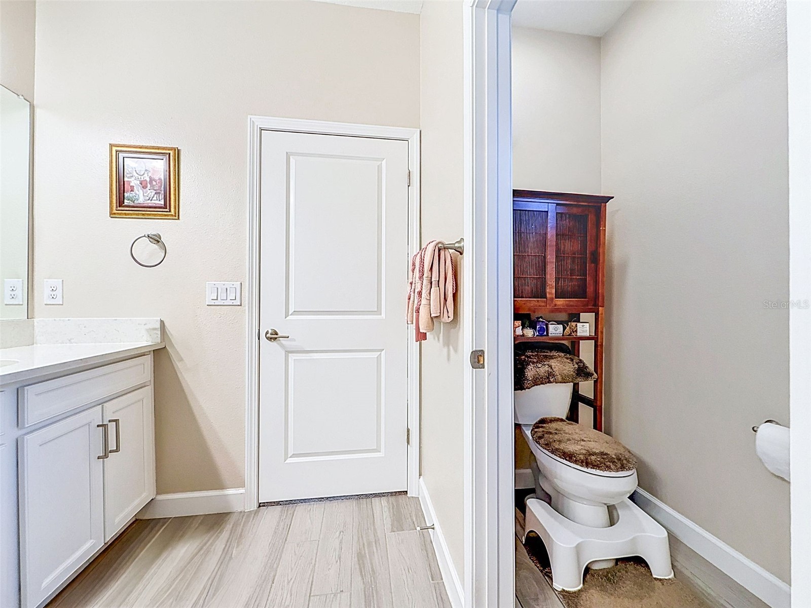 31527 Cannon Rush Drive San Antonio FL 33576 TB8506873 image42