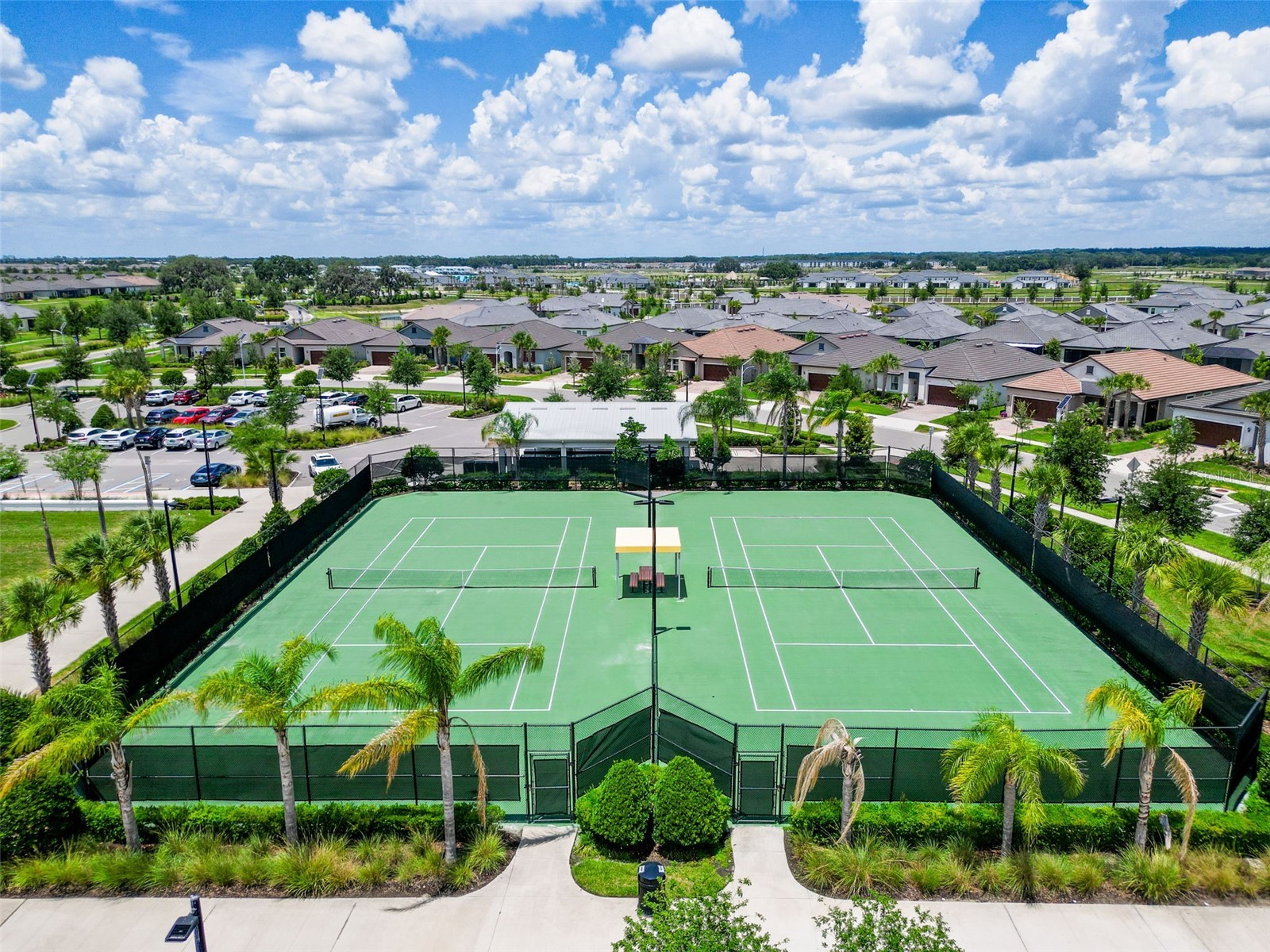 31527 Cannon Rush Drive San Antonio FL 33576 TB8506873 image8