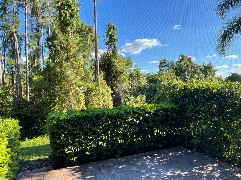 3153 Capri Isle Way Orlando FL 32835 O6396126 image14