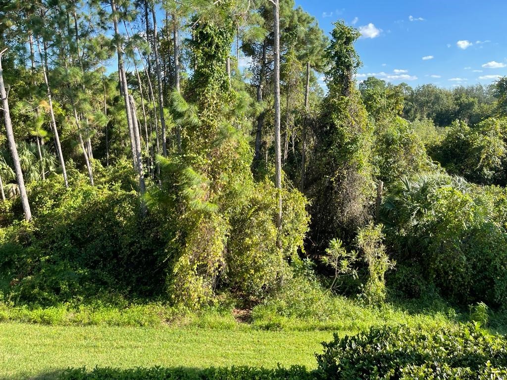 3153 Capri Isle Way Orlando FL 32835 O6396126 image15