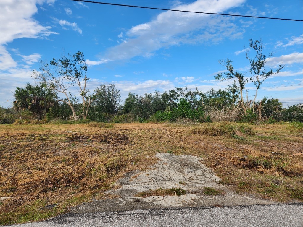 3153 Desoto Drive Punta Gorda FL 33983 - PEACE RIVER C7470261 image1