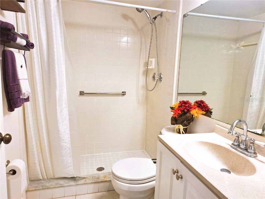 3153 Lake Pine Way #A1 Tarpon Springs FL 34688 W7876940 image18