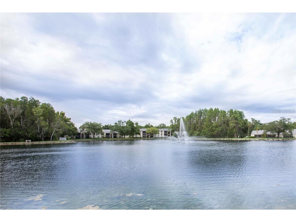 3153 Lake Pine Way #A1 Tarpon Springs FL 34688 W7876940 image24
