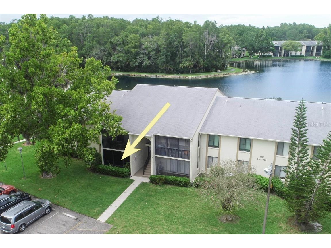 3153 Lake Pine Way #A1 Tarpon Springs FL 34688 W7876940 image30