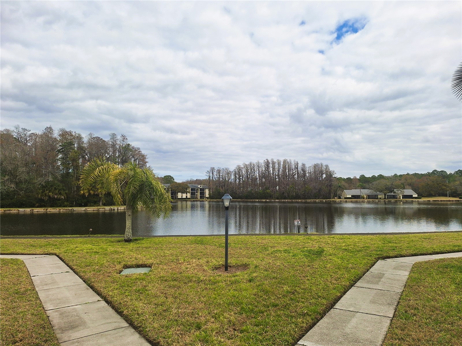 3153 Lake Pine Way #A1 Tarpon Springs FL 34688 W7876940 image31