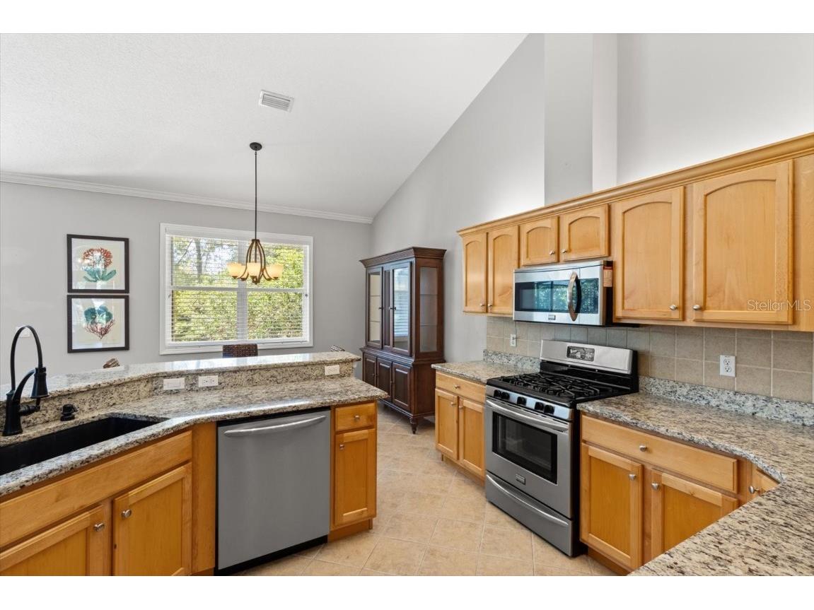 3153 N Barton Creek Circle Lecanto FL 34461 OM695681 image10