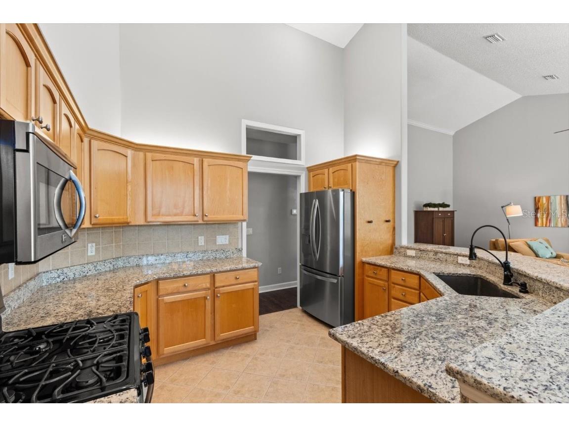 3153 N Barton Creek Circle Lecanto FL 34461 OM695681 image11