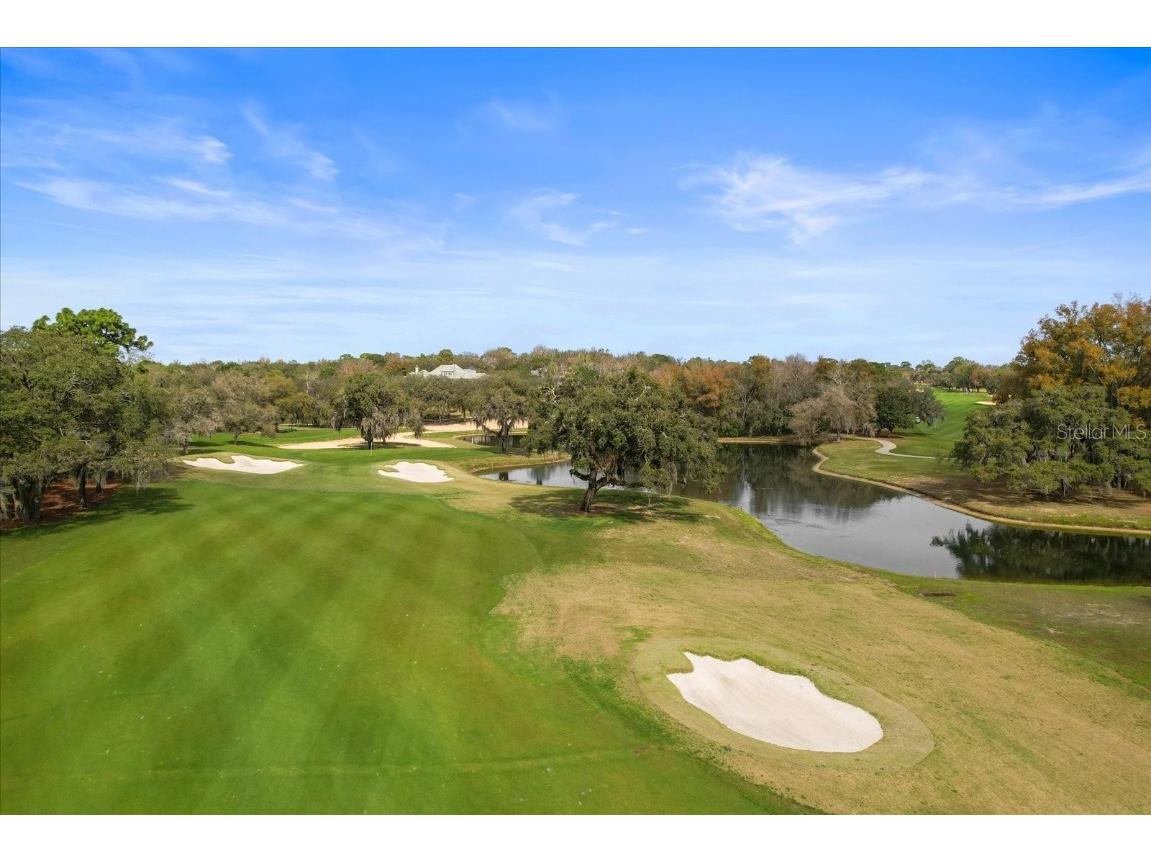 3153 N Barton Creek Circle Lecanto FL 34461 OM695681 image49