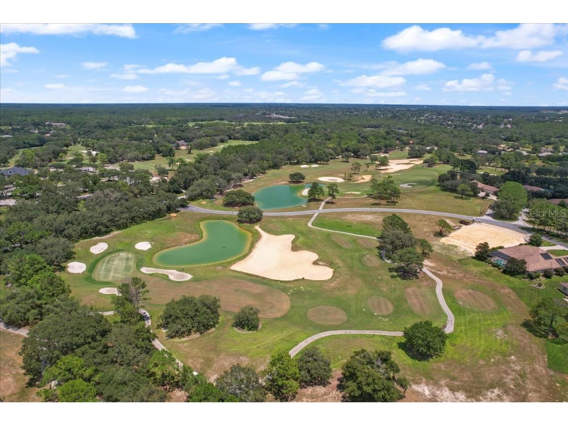 3153 N Barton Creek Circle Lecanto FL 34461 OM695681 image52