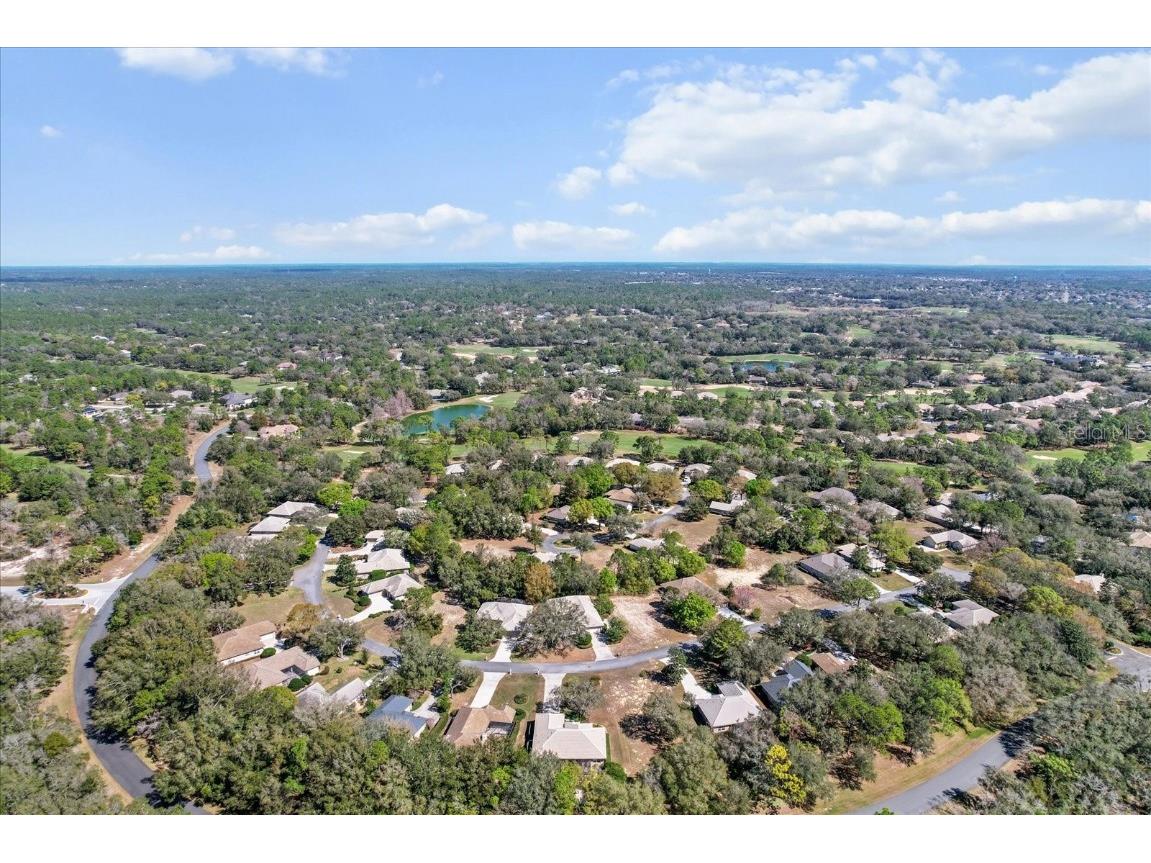 3153 N Barton Creek Circle Lecanto FL 34461 OM695681 image55