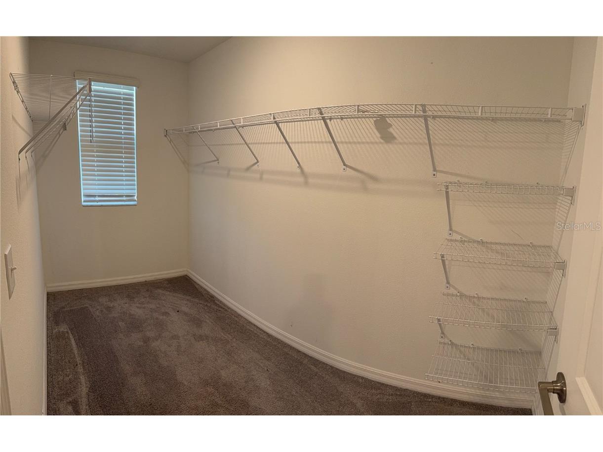 3153 Oyster Cove Street Wimauma FL 33598 TB8445849 image11