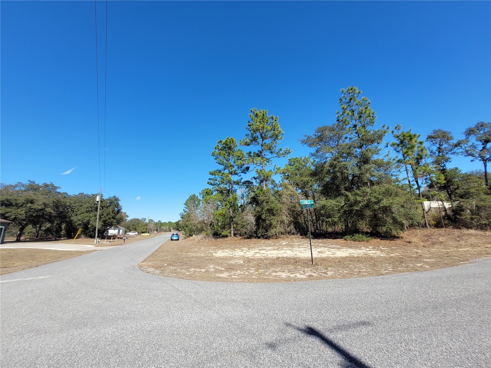 3153 W Eunice Drive Dunnellon FL 34433 OM718087 image1