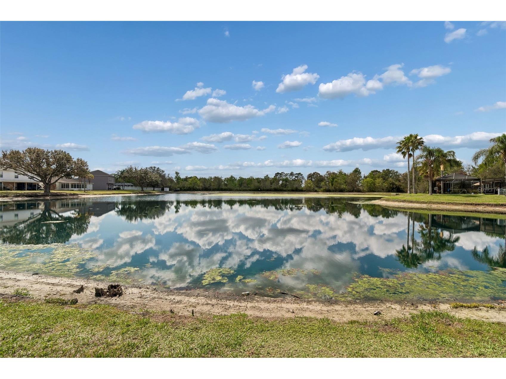 31537 Earn Drive Wesley Chapel FL 33545 TB8478540 image15