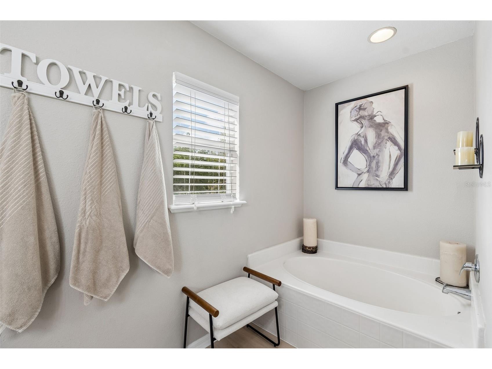 31537 Earn Drive Wesley Chapel FL 33545 TB8478540 image47