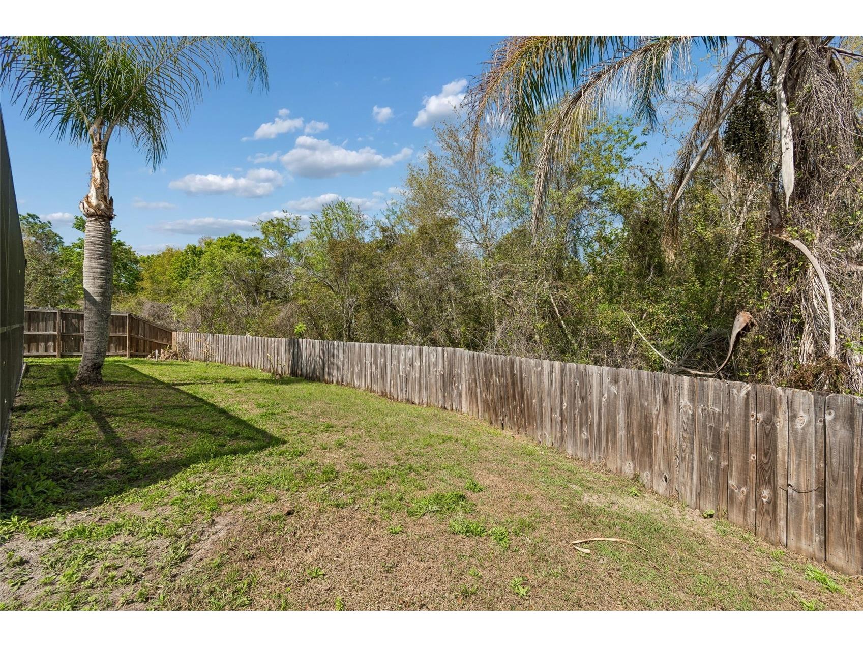 31537 Earn Drive Wesley Chapel FL 33545 TB8478540 image64