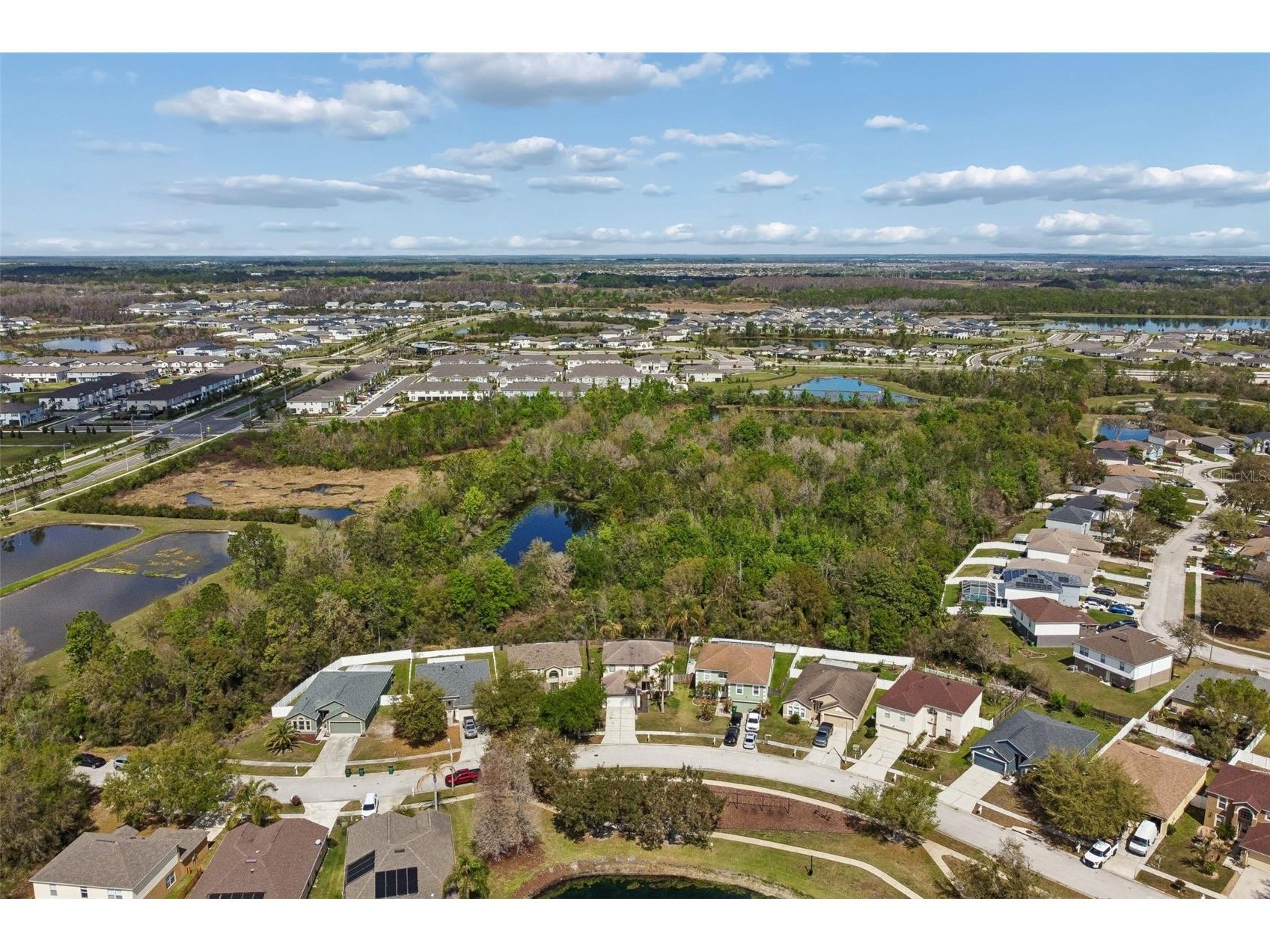 31537 Earn Drive Wesley Chapel FL 33545 TB8478540 image68