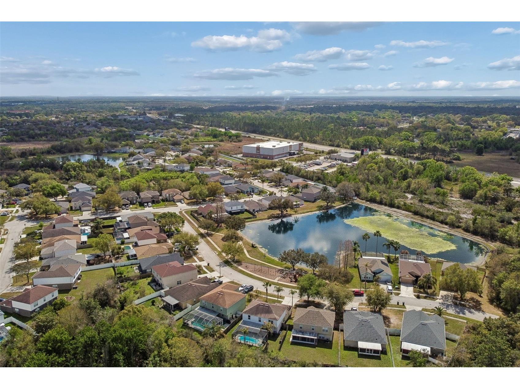 31537 Earn Drive Wesley Chapel FL 33545 TB8478540 image69