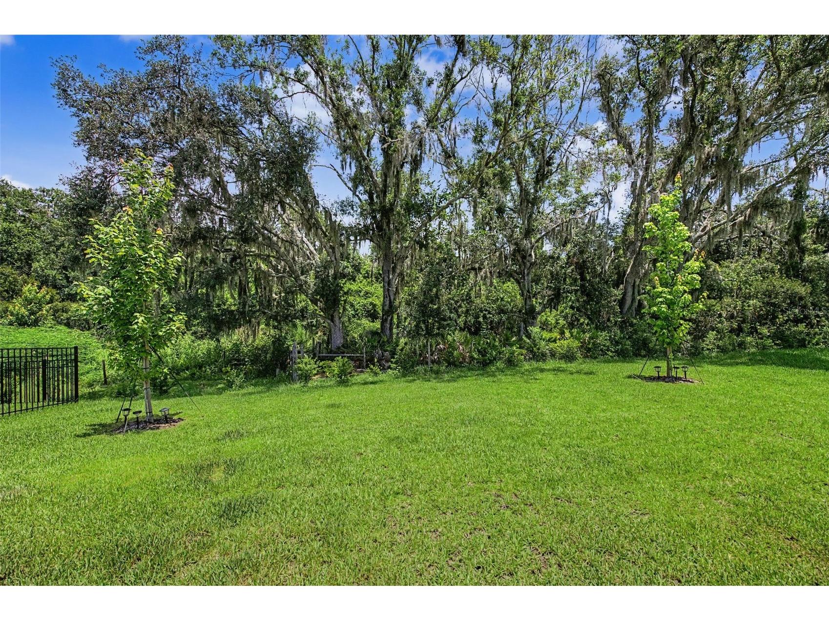31537 Hayman Loop Wesley Chapel FL 33543 TB8524115 image24
