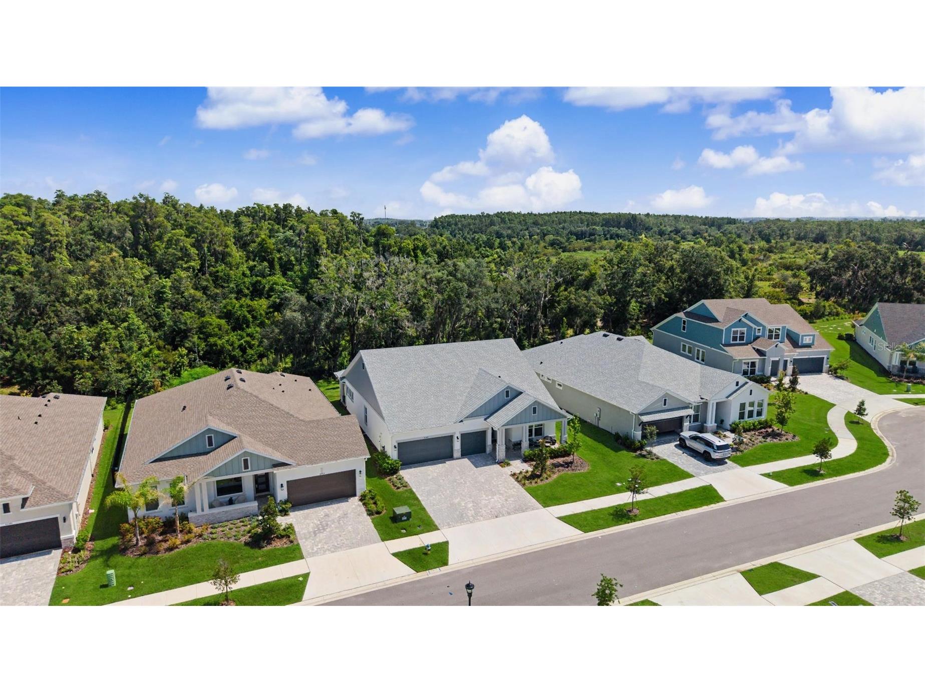 31537 Hayman Loop Wesley Chapel FL 33543 TB8524115 image29