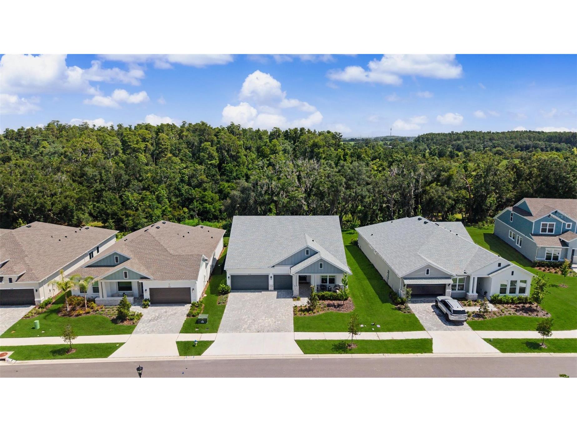 31537 Hayman Loop Wesley Chapel FL 33543 TB8524115 image30