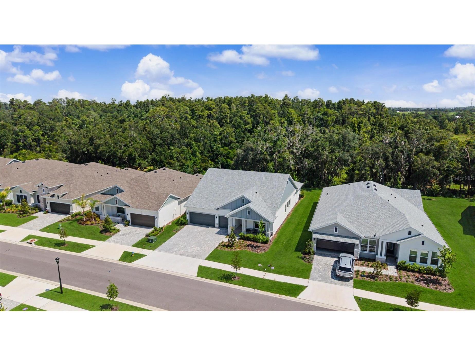 31537 Hayman Loop Wesley Chapel FL 33543 TB8524115 image33
