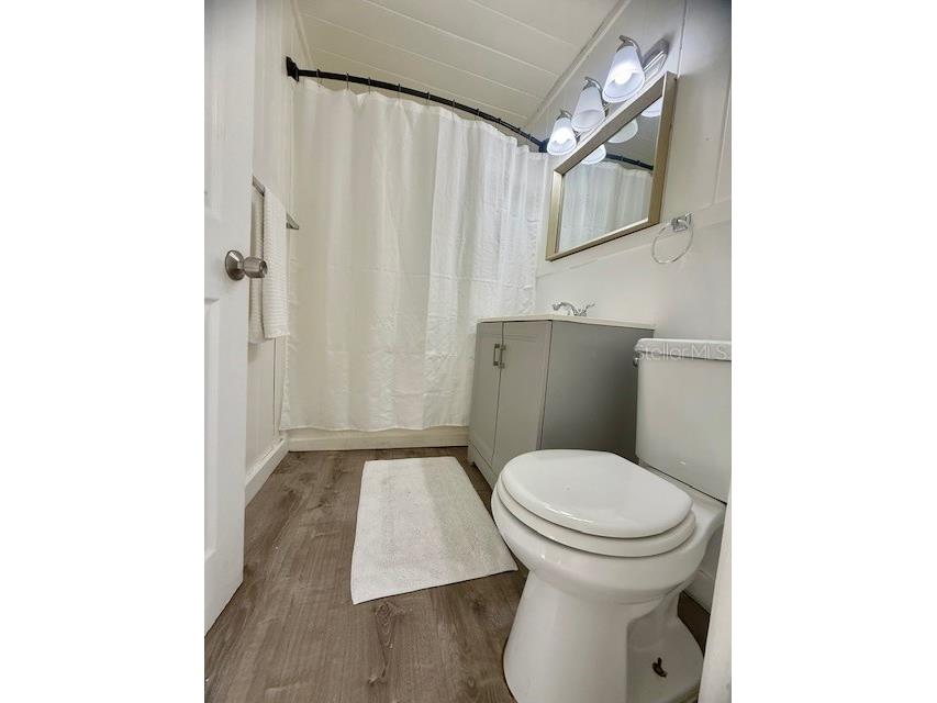 31538 Anderson Drive Tavares FL 32778 O6318135 image5