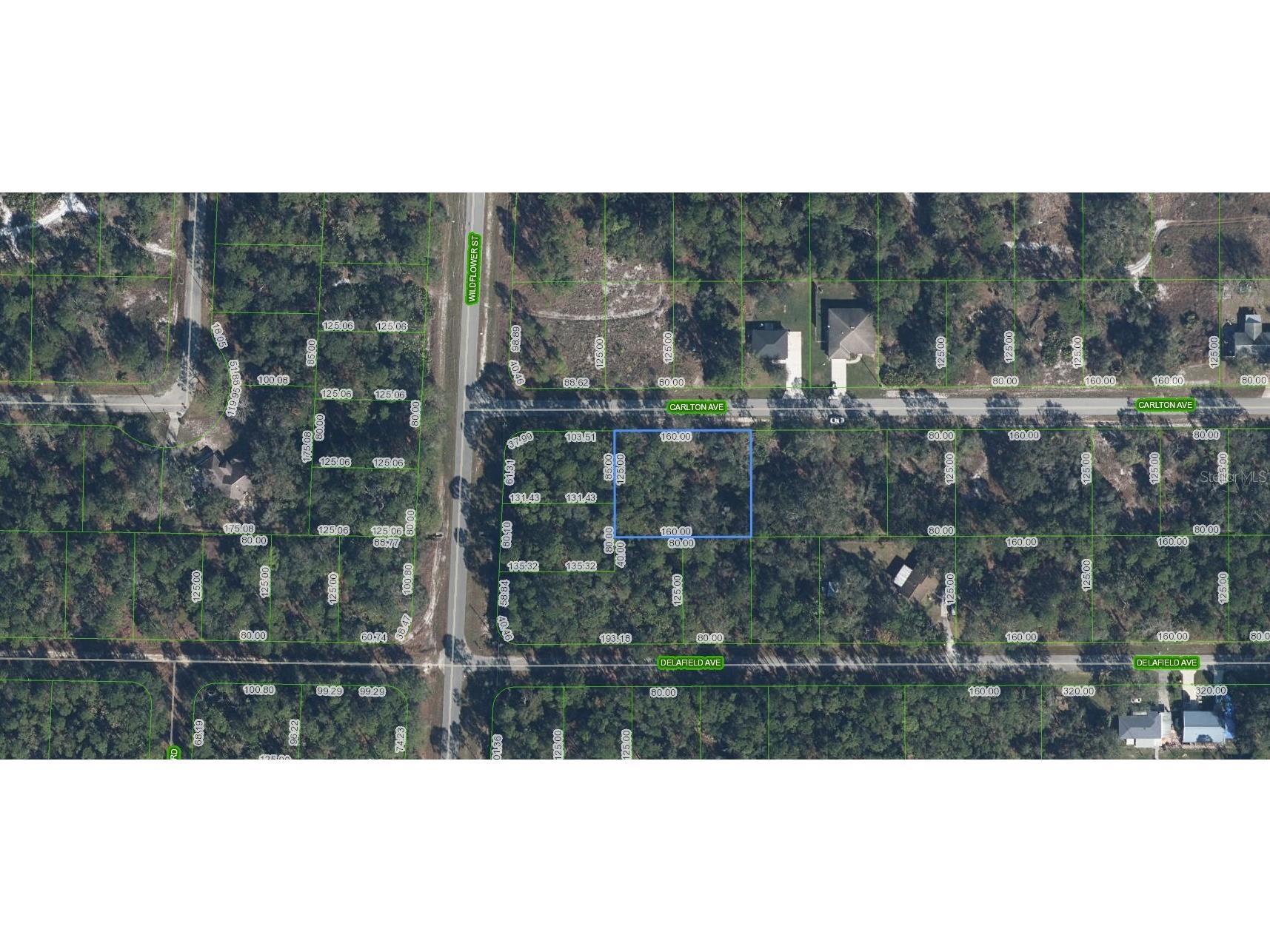 3154 Carlton Avenue Lake Placid FL 33852 A4695230 image1