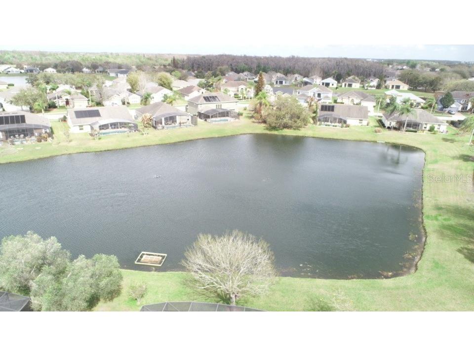 3154 Hanging Moss Circle Kissimmee FL 34741 O6389042 image50