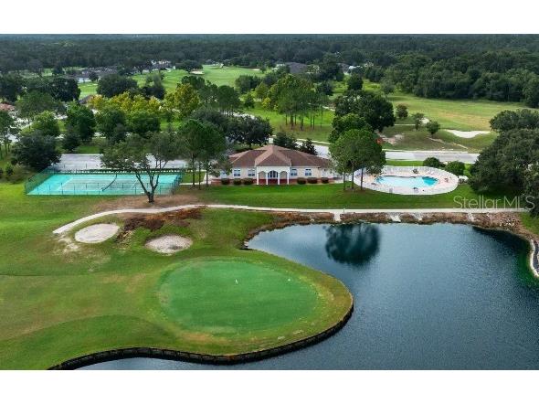 31540 Wild Grape Lane Brooksville FL 34602 O6357420 image20