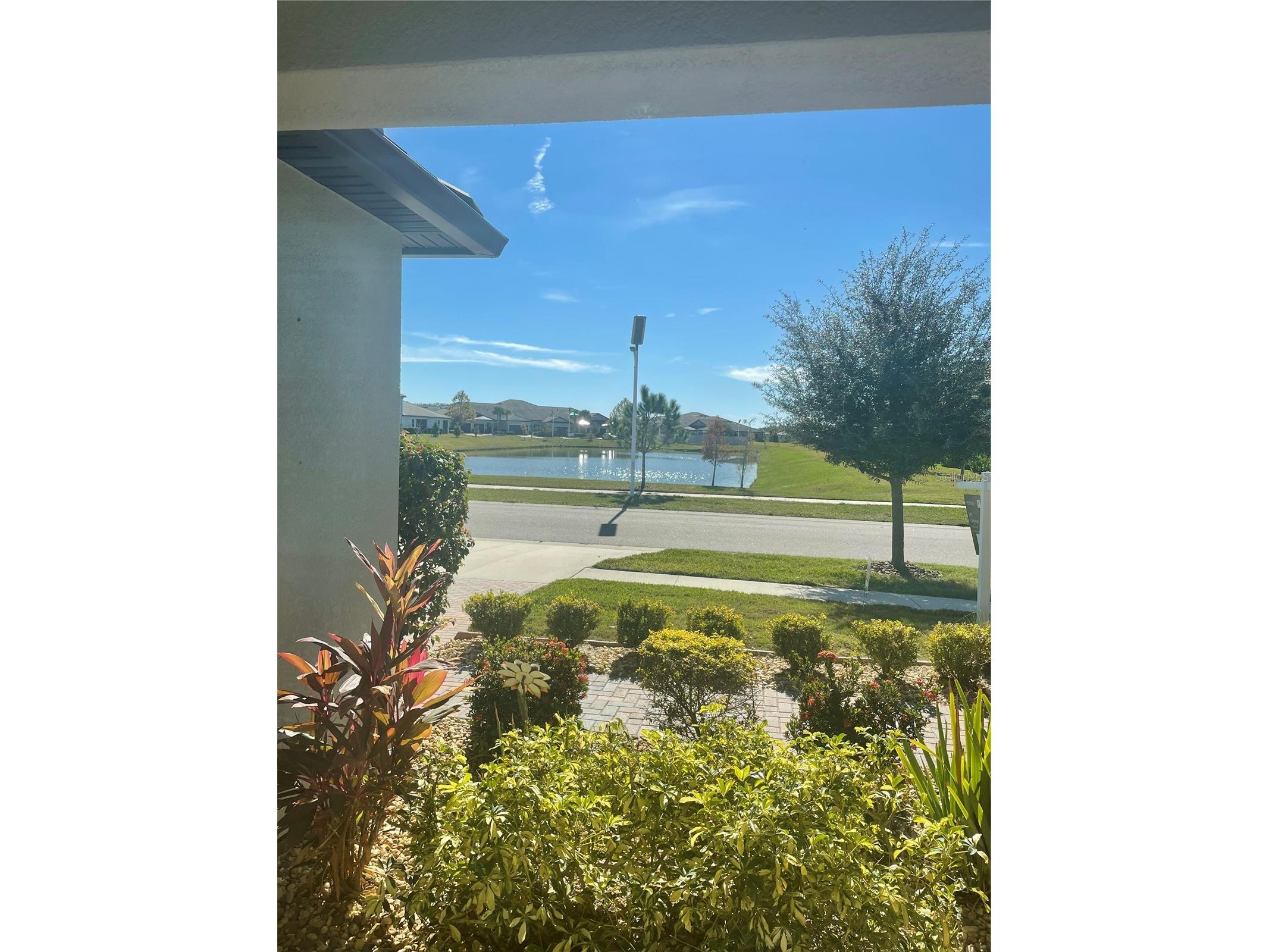 31541 Cannon Rush Drive San Antonio FL 33576 TB8419347 image1