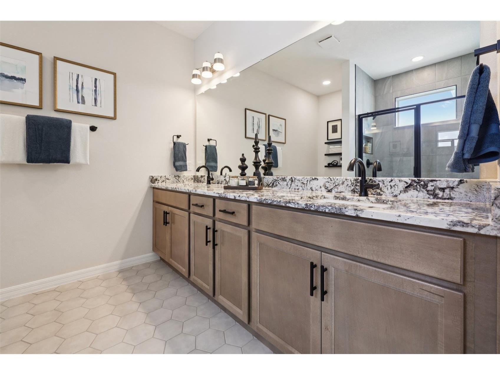 31546 Azure Beach Drive San Antonio FL 33576 TB8494073 image43