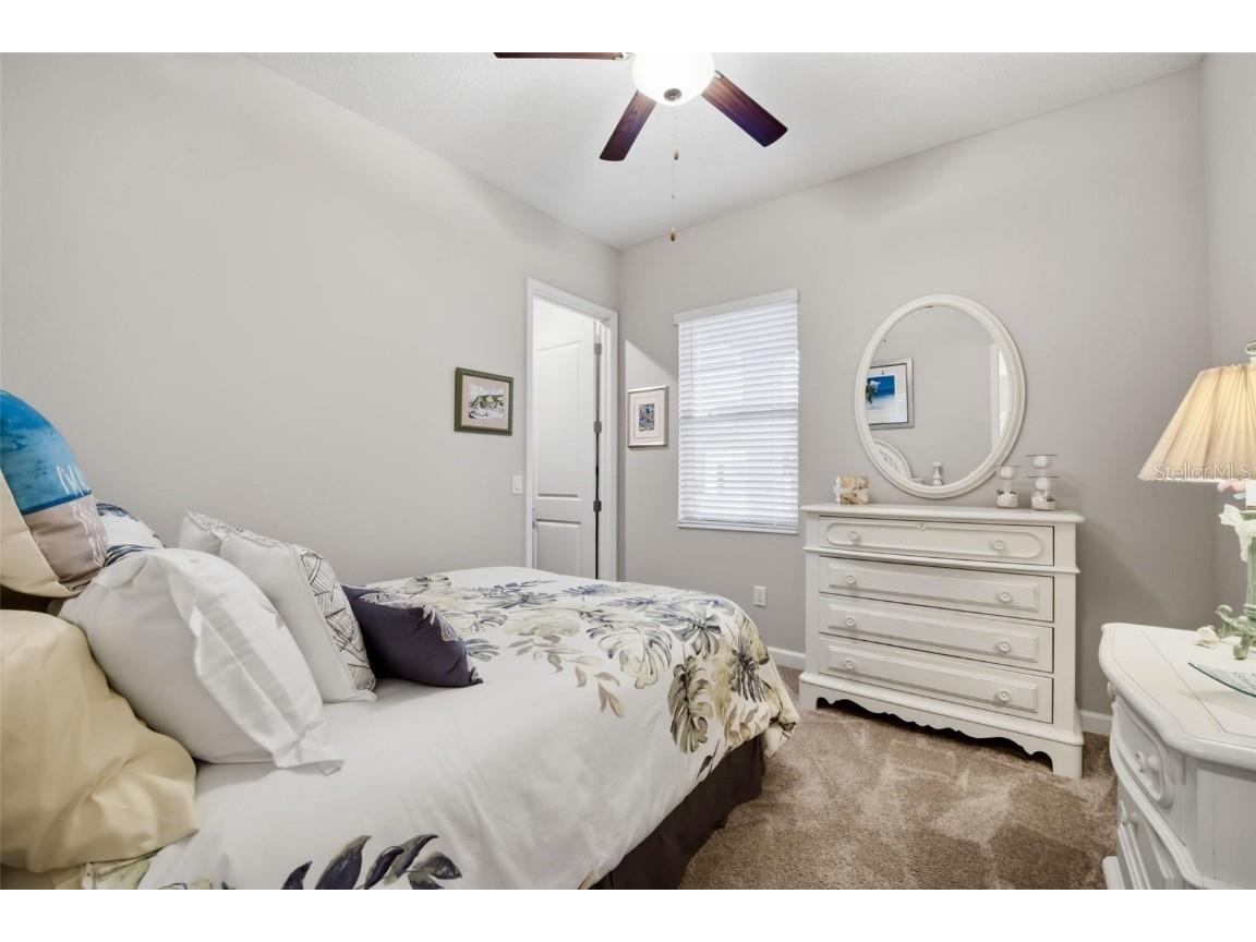 31548 Cabana Rye Avenue San Antonio FL 33576 TB8450721 image33