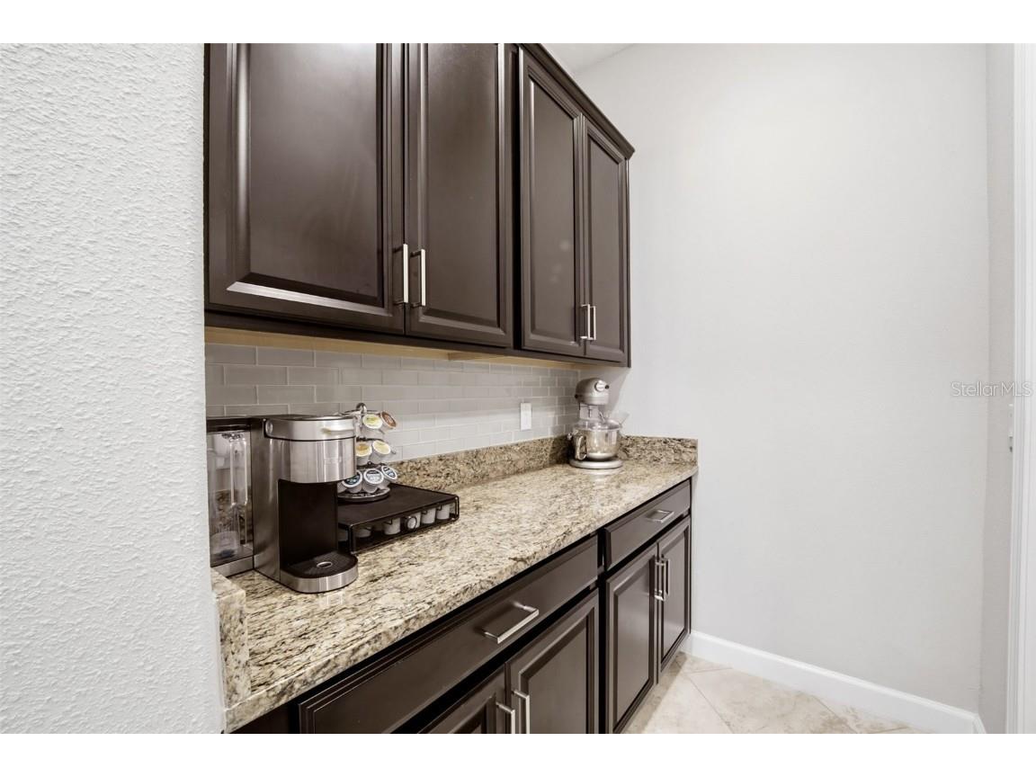 31548 Cabana Rye Avenue San Antonio FL 33576 TB8450721 image37