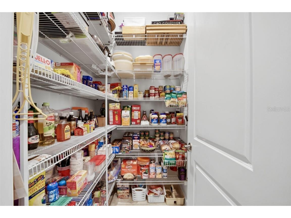 31548 Cabana Rye Avenue San Antonio FL 33576 TB8450721 image38