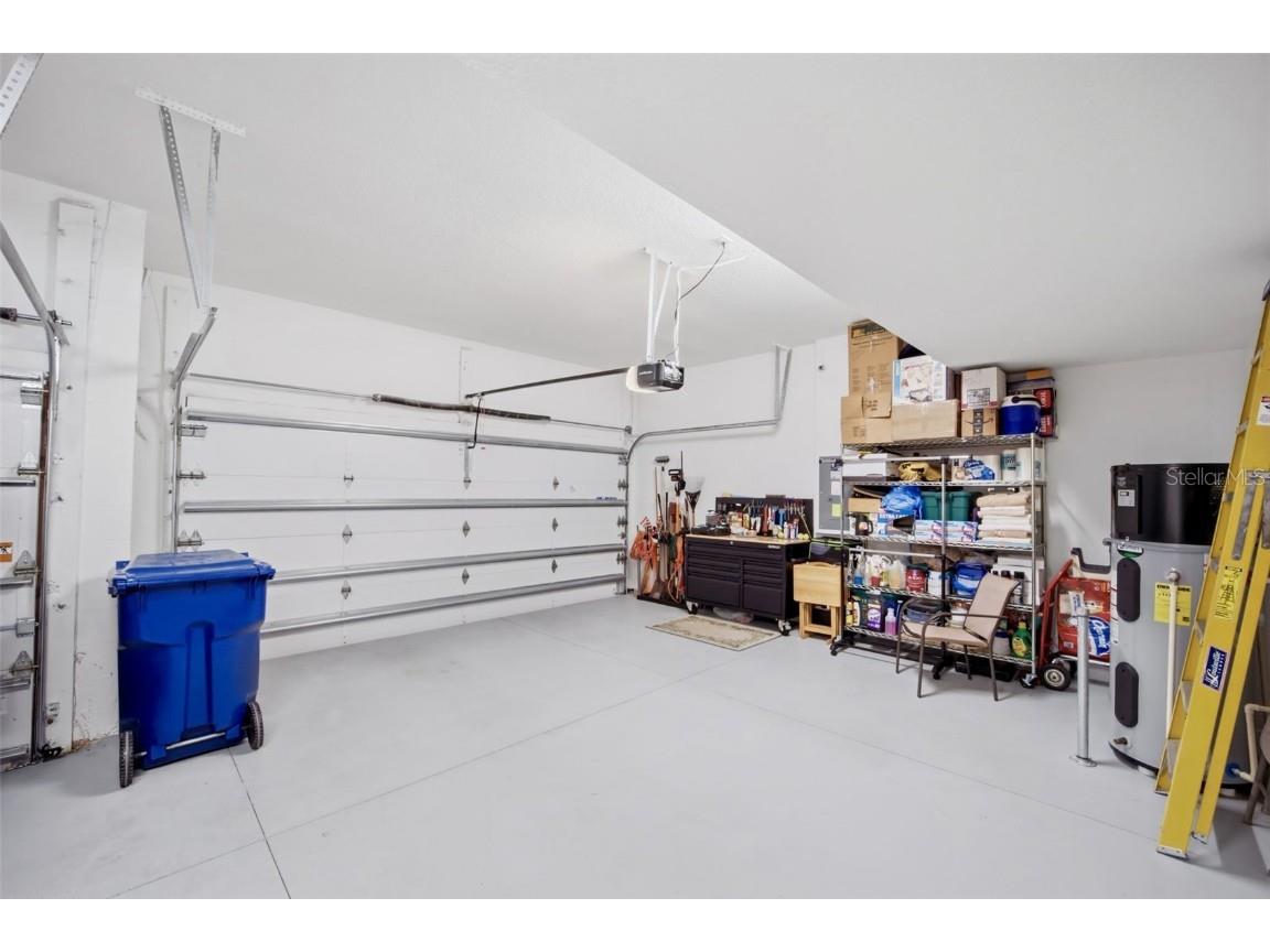 31548 Cabana Rye Avenue San Antonio FL 33576 TB8450721 image49