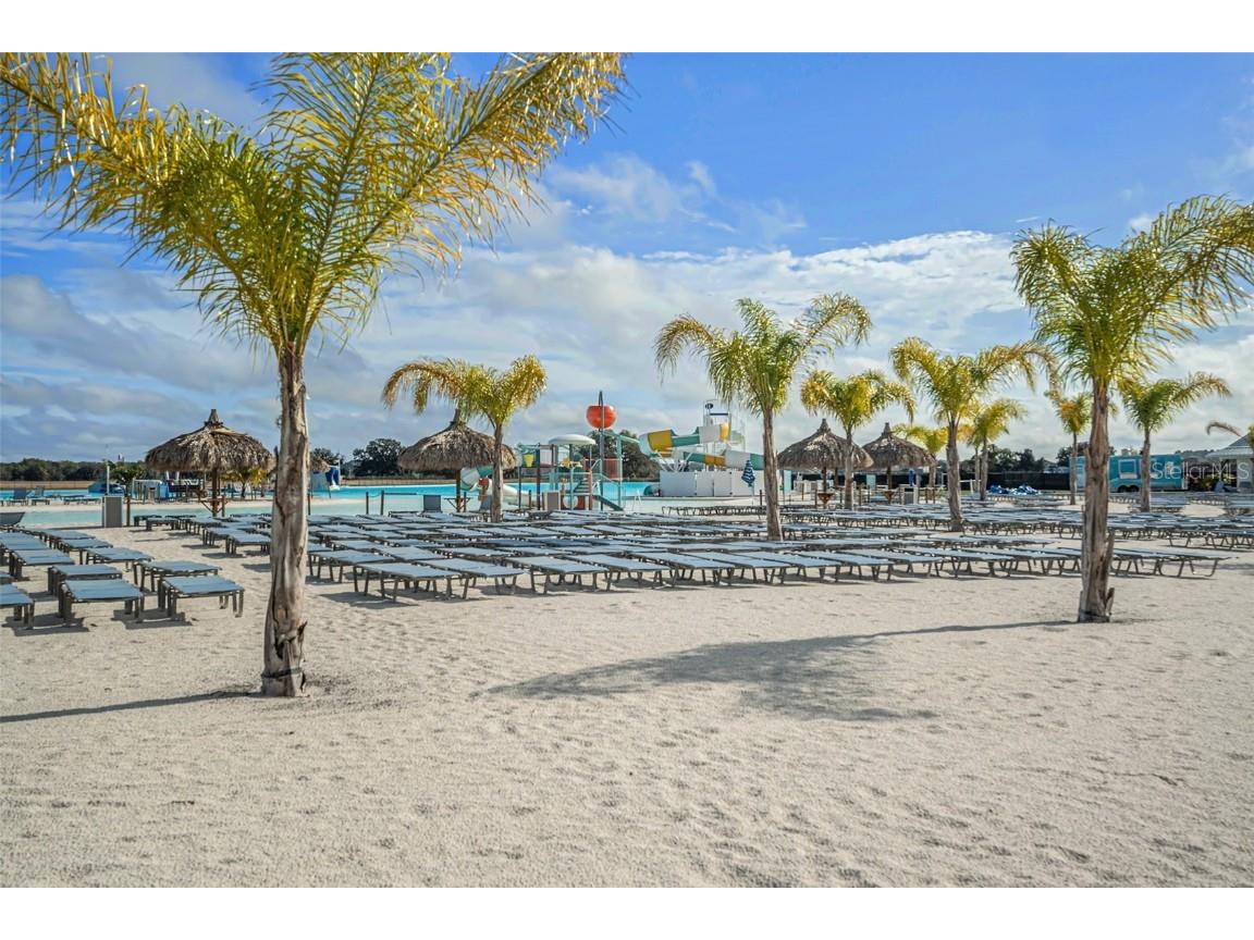 31548 Cabana Rye Avenue San Antonio FL 33576 TB8450721 image80