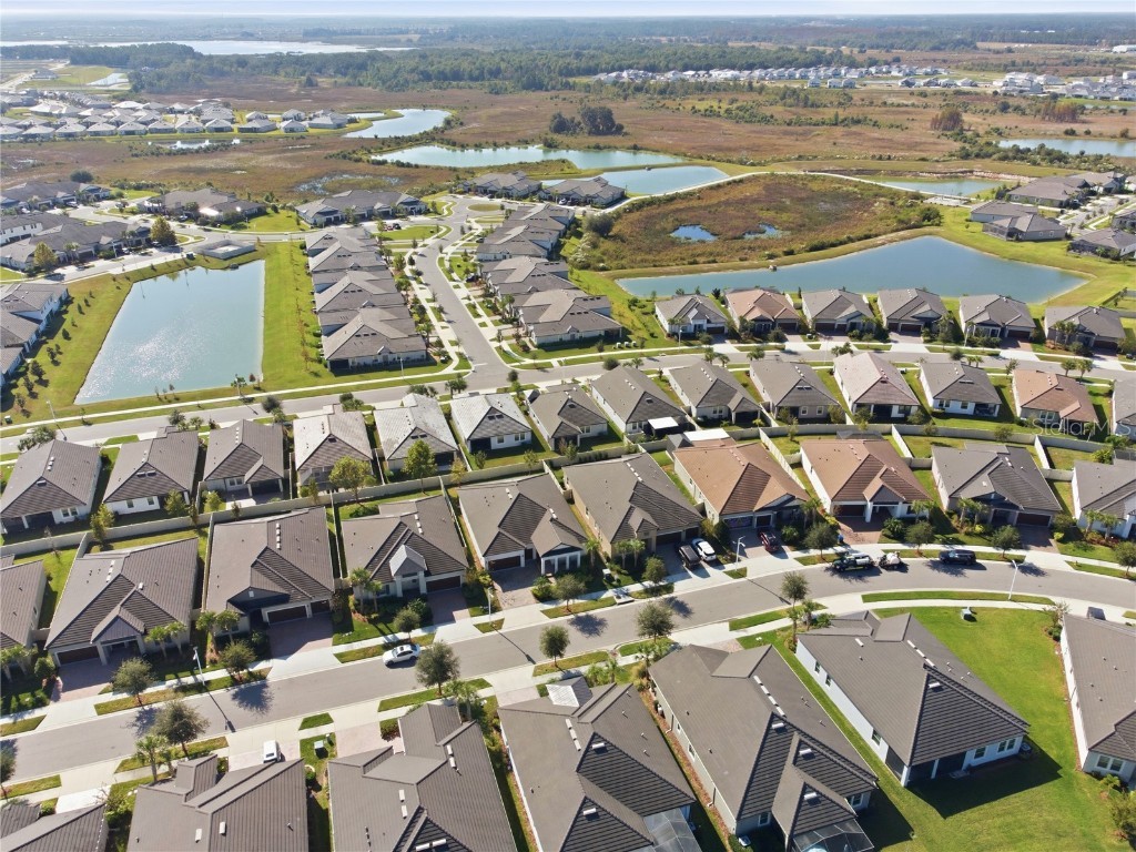 31548 Cabana Rye Avenue San Antonio FL 33576 TB8450721 image98