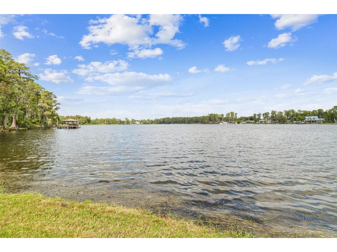 3155 Lake Ellen Drive Tampa FL 33618 TB8434847 image61