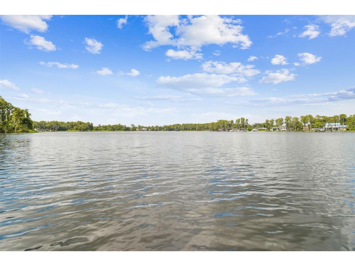 3155 Lake Ellen Drive Tampa FL 33618 TB8434847 image65